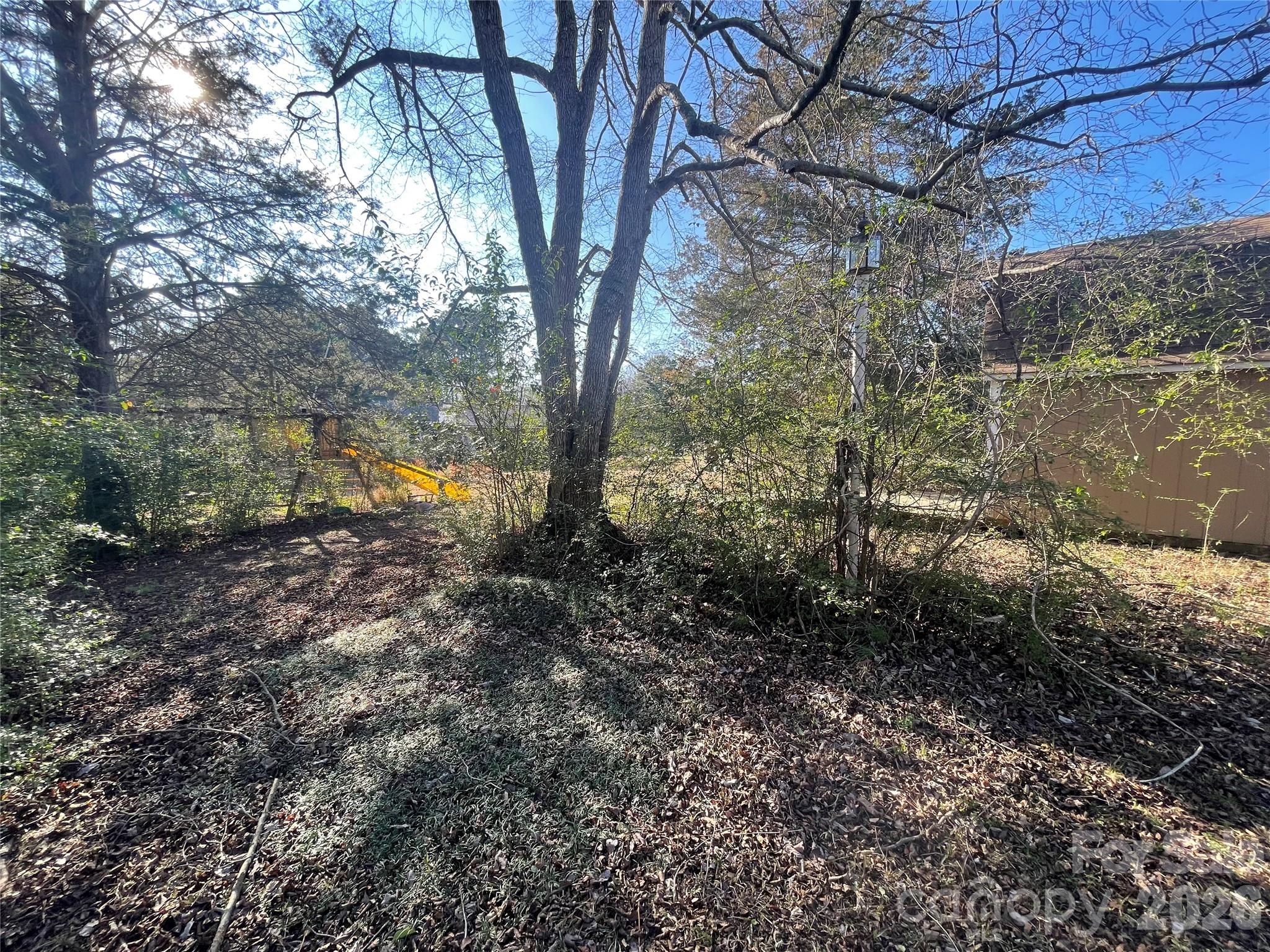4907 Delmar Griffin Road Monroe, NC 28112 - Photo 24 of 25 a view of a yard with a tree