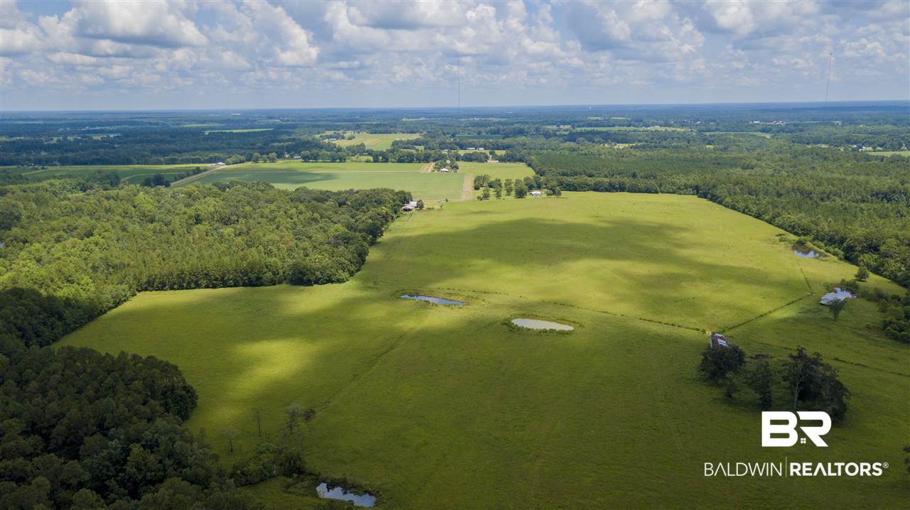 22290 Oak Tree Lane Robertsdale, AL 36567 - Photo 19 of 37