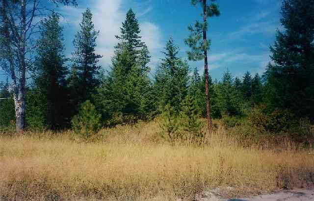 -- Little Sweden Road Valley, WA 99181 - Photo 1 of 4