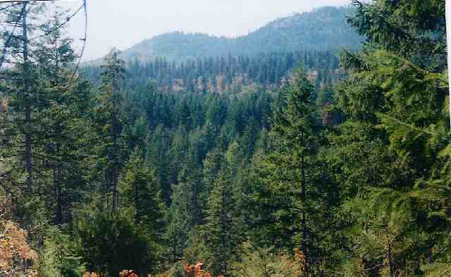 -- Little Sweden Road Valley, WA 99181 - Photo 2 of 4
