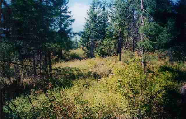 -- Little Sweden Road Valley, WA 99181 - Photo 3 of 4