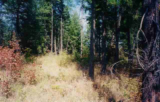 -- Little Sweden Road Valley, WA 99181 - Photo 4 of 4