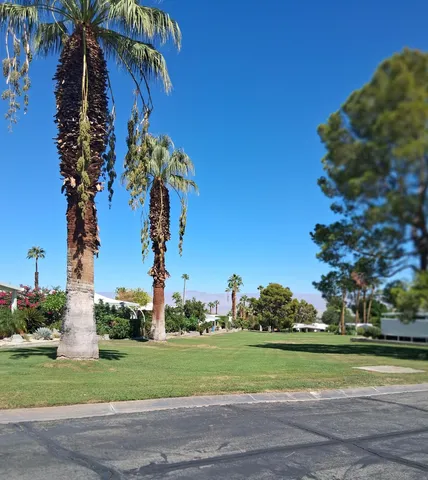 a view of a field with trees in front of it
