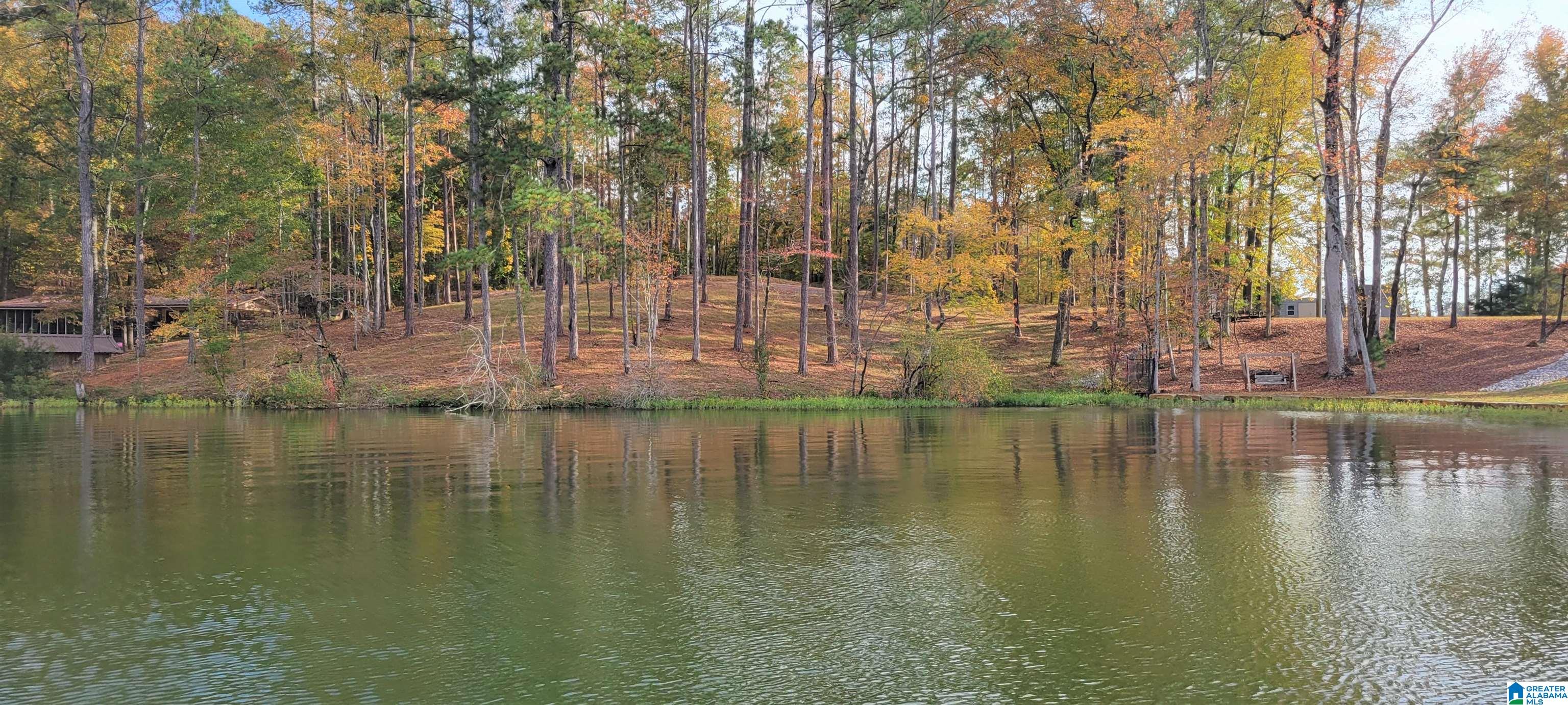 1830 Mimosa Point Road, Unit 1 Rockford, AL 35136 - Photo 18 of 24