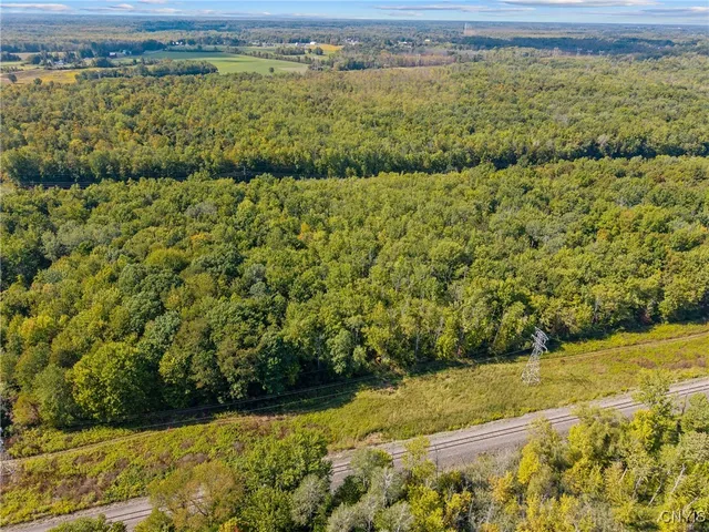 $1,200,000 | 9149 Mud Mill Road, Clay, NY 13029