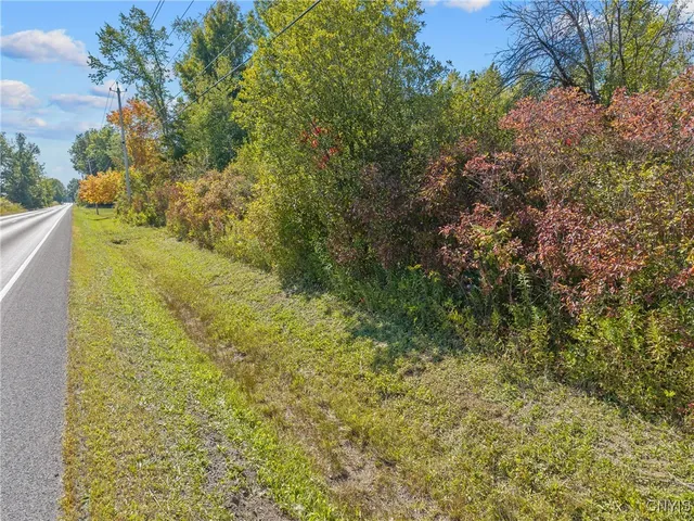 $1,200,000 | 9149 Mud Mill Road, Clay, NY 13029