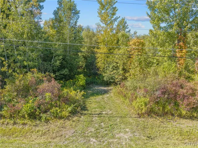 $1,200,000 | 9149 Mud Mill Road, Clay, NY 13029