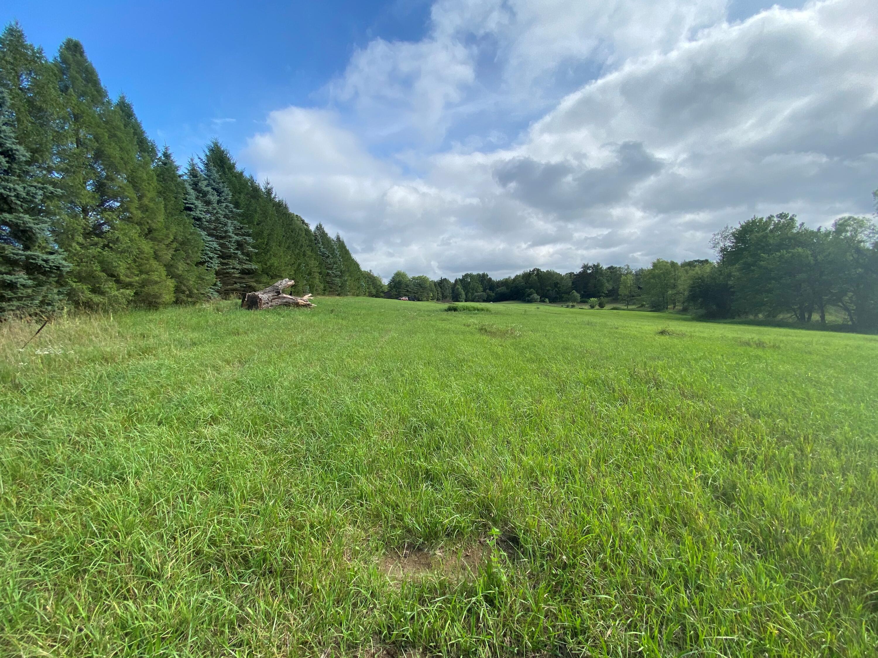 West Pifer Road Delton, MI 49046 - Photo 3 of 4 5
