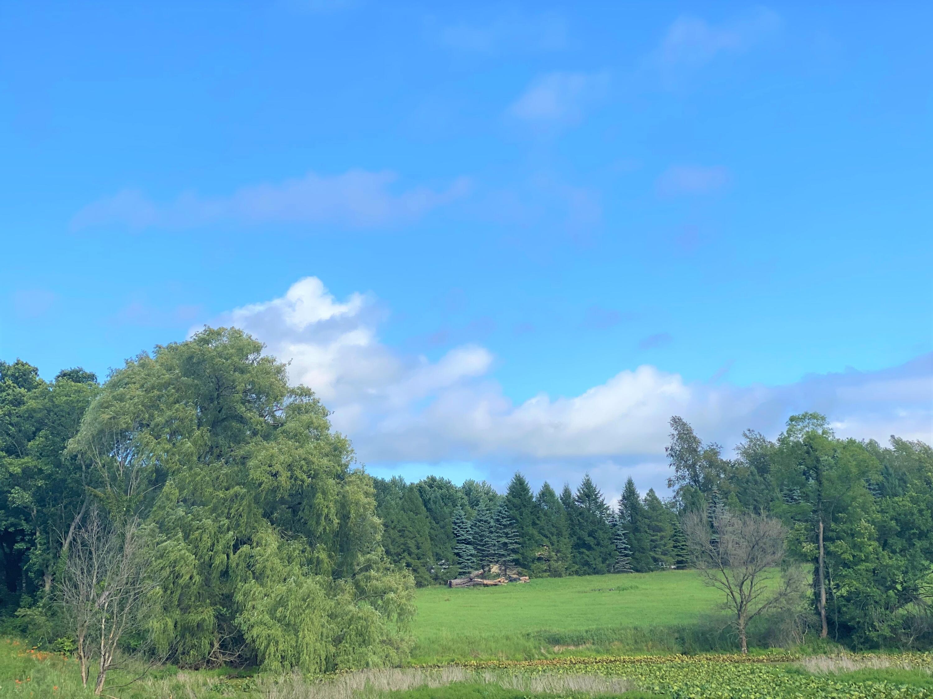 West Pifer Road Delton, MI 49046 - Photo 4 of 4 4