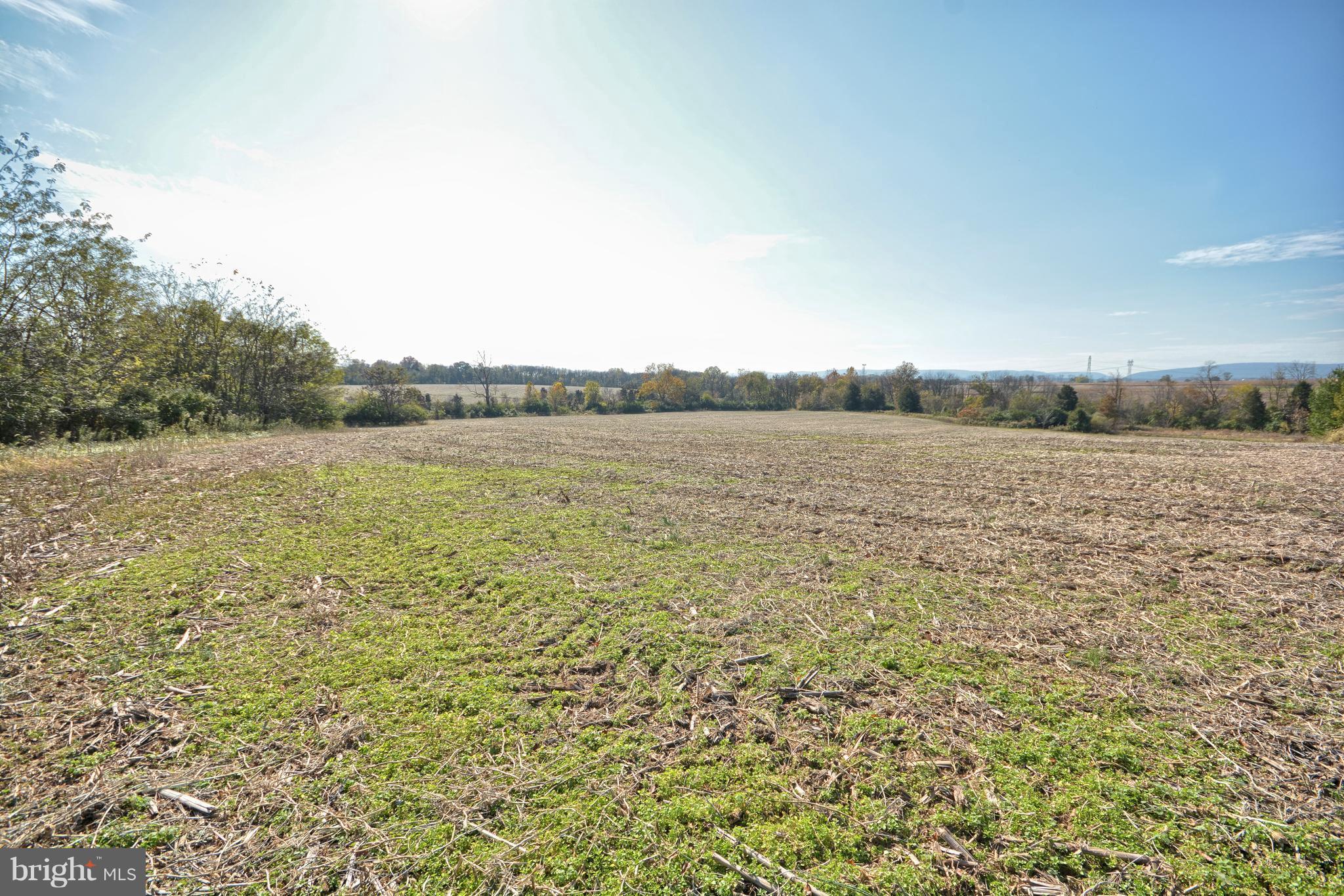 Horine Road Jefferson, MD 21755 - Photo 6 of 12 Exterior (General)