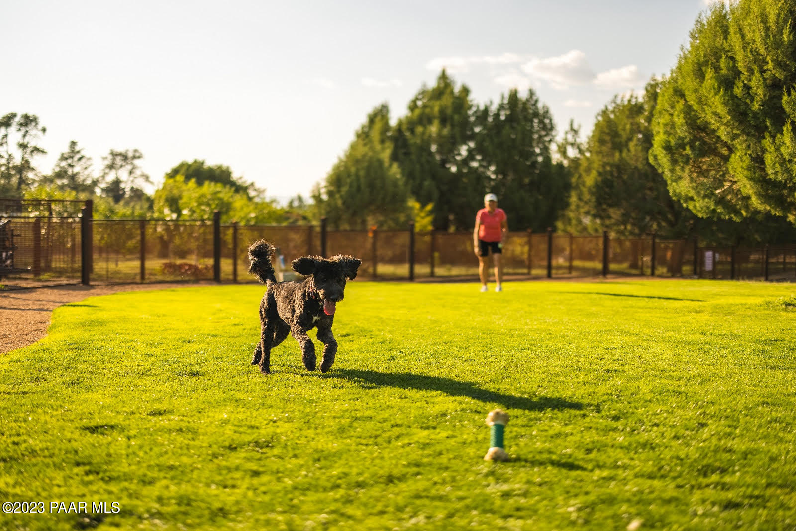 4950 West Three Forks Road Prescott, AZ 86305 - Photo 40 of 43 A Dog Park Shot