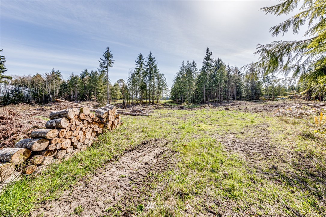 6 O'brien Rd Port Port Angeles, WA 98362 - Photo 12 of 32 a view of a yard with trees