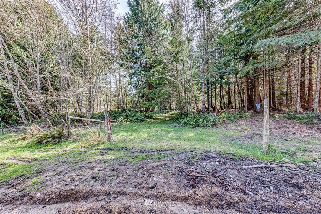 6 O'brien Rd Port Port Angeles, WA 98362 - Photo 13 of 32 a view of outdoor space with trees