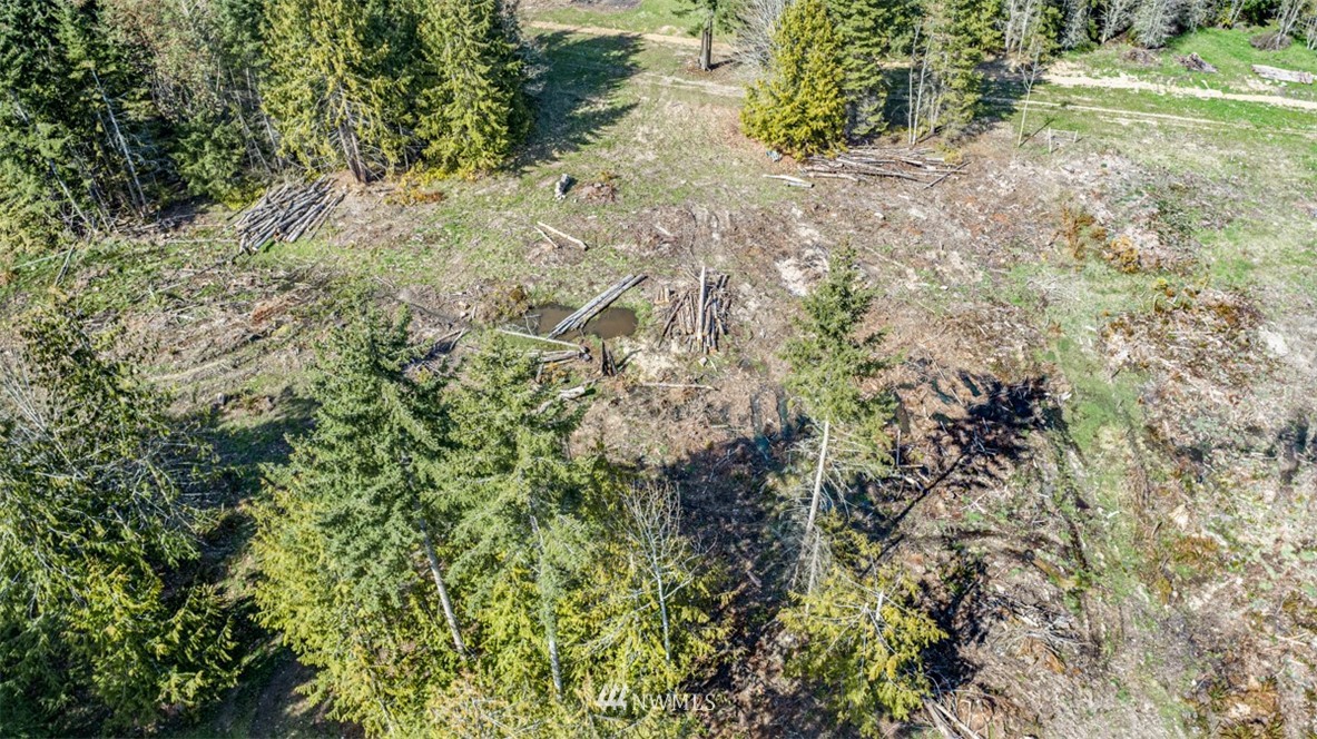 6 O'brien Rd Port Port Angeles, WA 98362 - Photo 22 of 32 a view of a yard with a tree