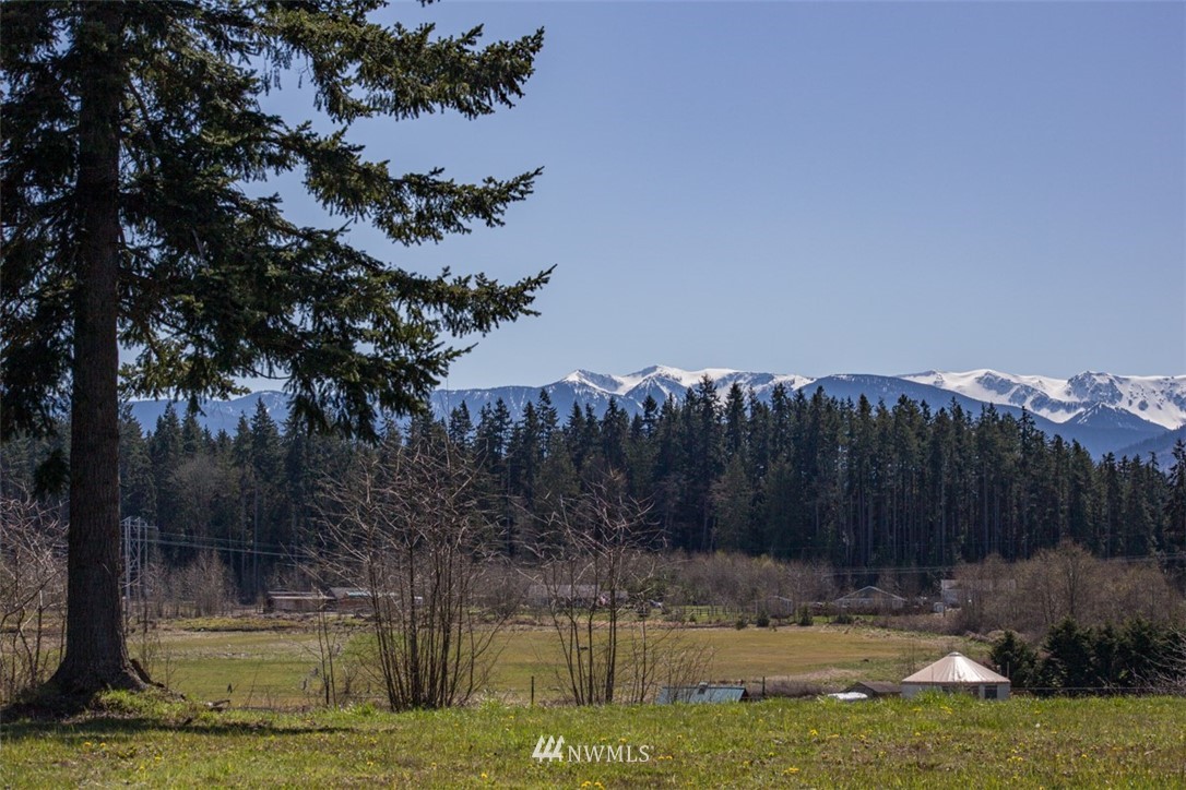 6 O'brien Rd Port Port Angeles, WA 98362 - Photo 24 of 32 a view of a back yard