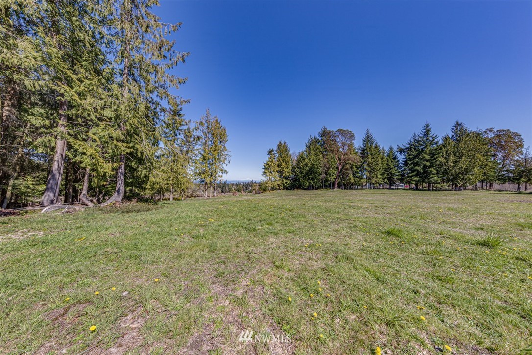 6 O'brien Rd Port Port Angeles, WA 98362 - Photo 25 of 32 a view of a field with trees in background