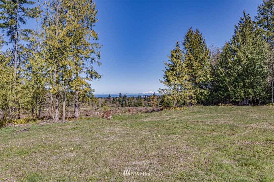 6 O'brien Rd Port Port Angeles, WA 98362 - Photo 26 of 32 a view of dirt field with trees