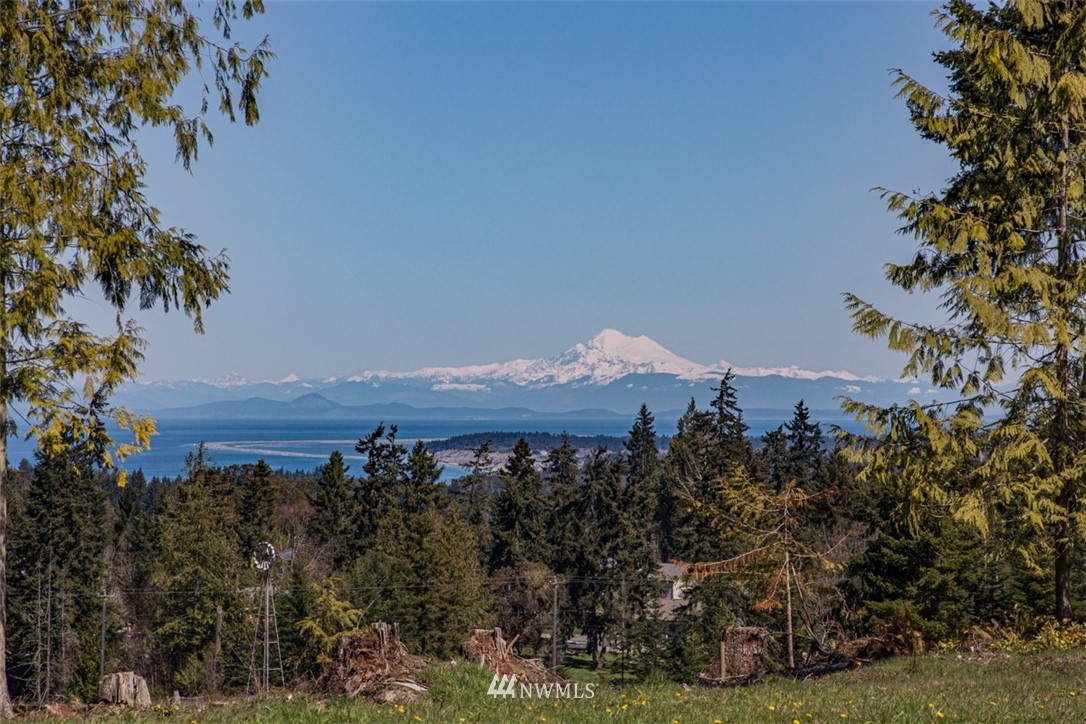 6 O'brien Rd Port Port Angeles, WA 98362 - Photo 28 of 32 a view of a house with a yard and mountain in the background