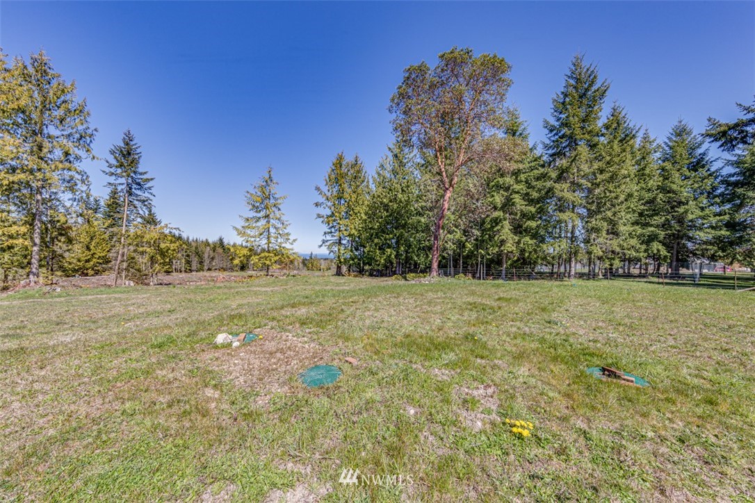 6 O'brien Rd Port Port Angeles, WA 98362 - Photo 29 of 32 a view of a yard