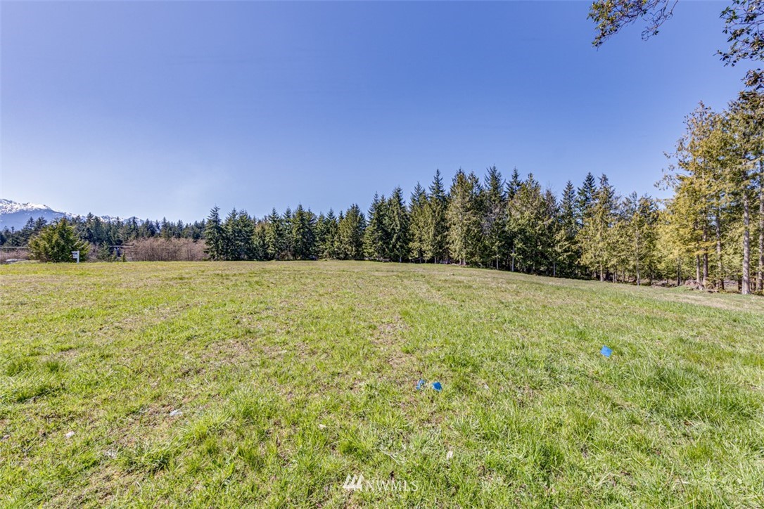 6 O'brien Rd Port Port Angeles, WA 98362 - Photo 31 of 32 a view of a field with trees in the background