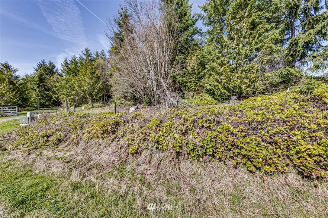 6 O'brien Rd Port Port Angeles, WA 98362 - Photo 5 of 32 a view of a yard
