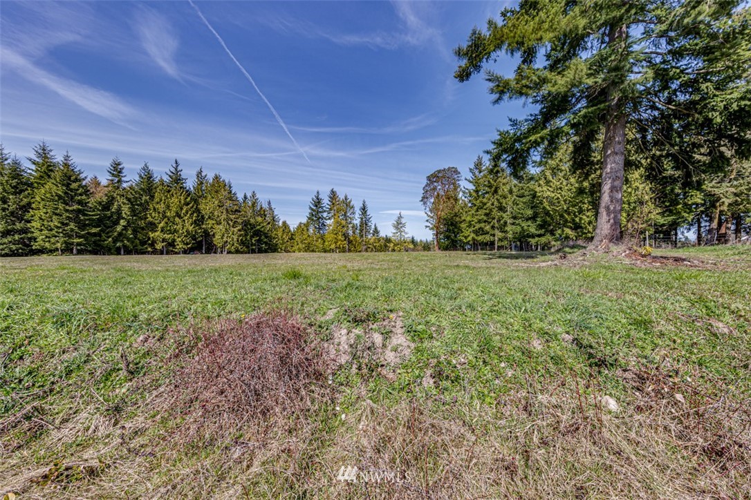 6 O'brien Rd Port Port Angeles, WA 98362 - Photo 6 of 32 a view of a grassy field with trees in the background