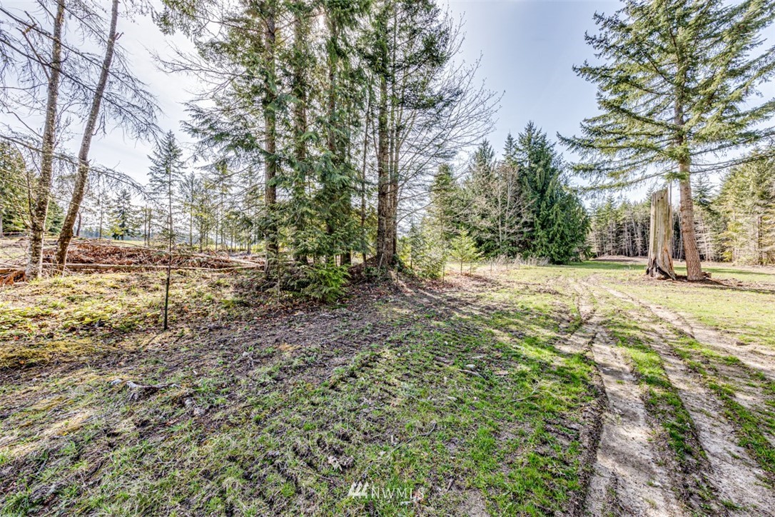 6 O'brien Rd Port Port Angeles, WA 98362 - Photo 10 of 32 a view of a yard with trees