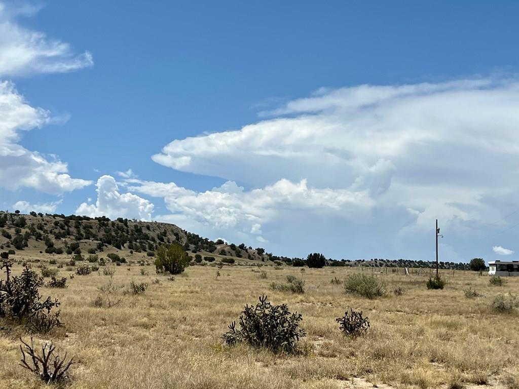 93.9 County Road 93.9 Model, CO 81059 - Photo 12 of 40