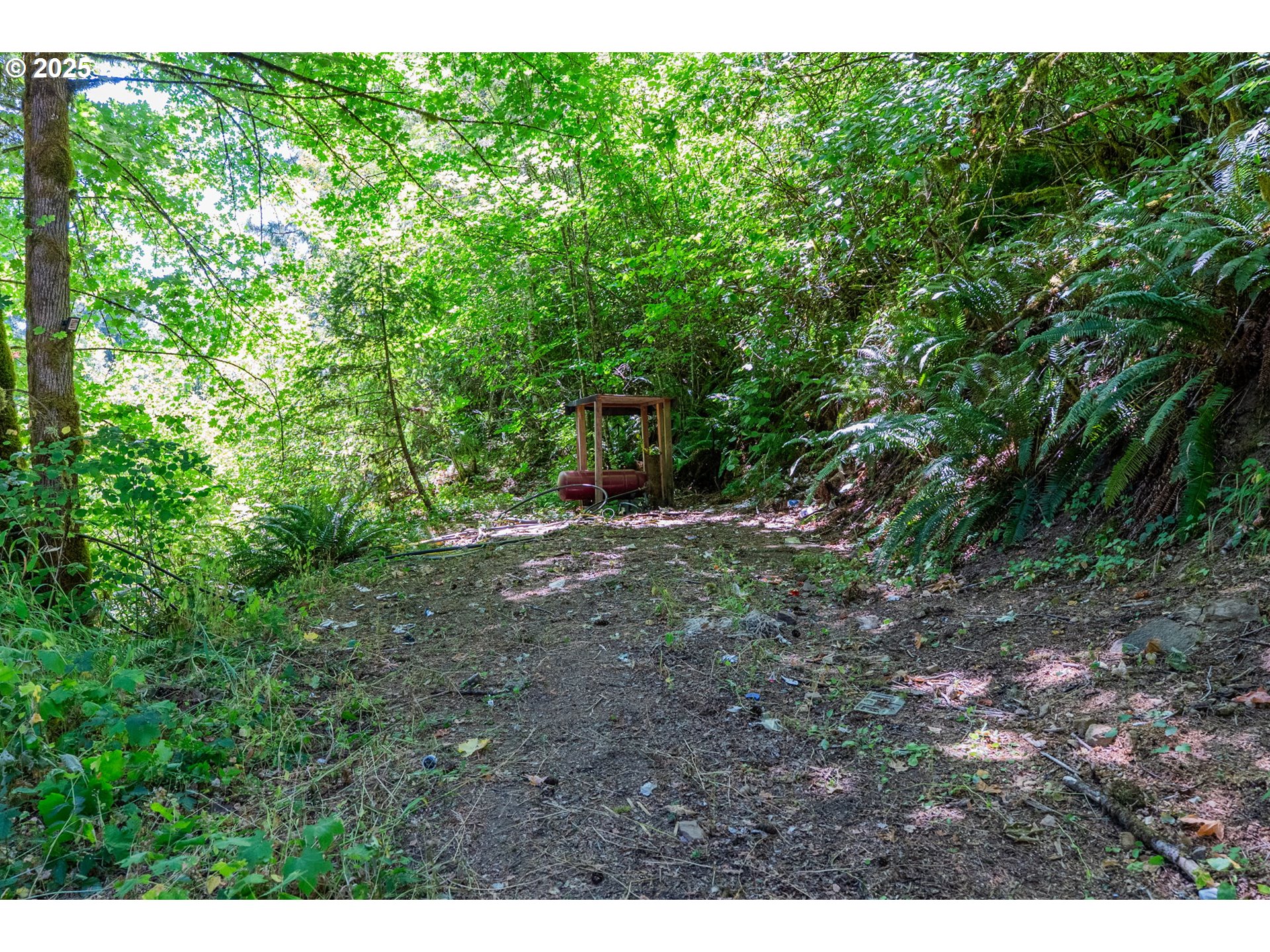 23429 Hall Road Cheshire, OR 97419 - Photo 14 of 15