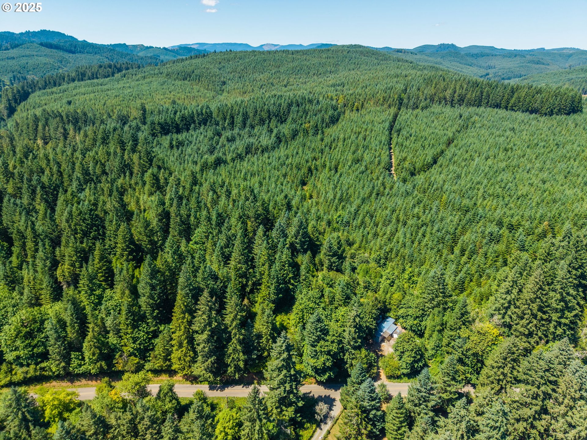 23429 Hall Road Cheshire, OR 97419 - Photo 4 of 15