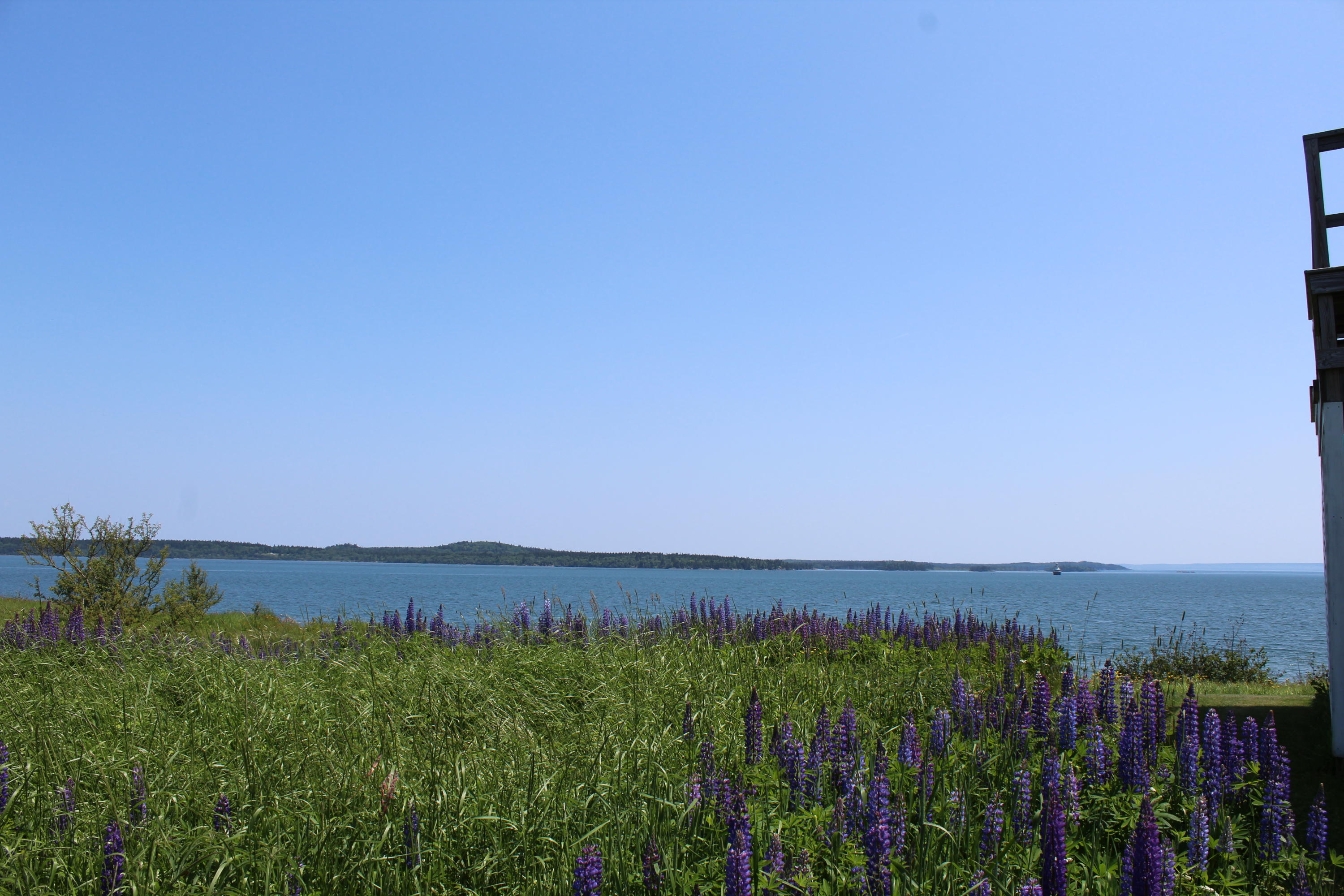 68 South Lubec Road Lubec, ME 04652 - Photo 41 of 46 IMG_4162