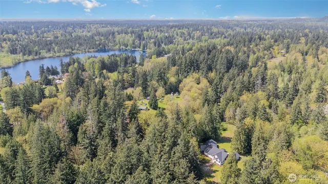 a view of a city with lush green forest