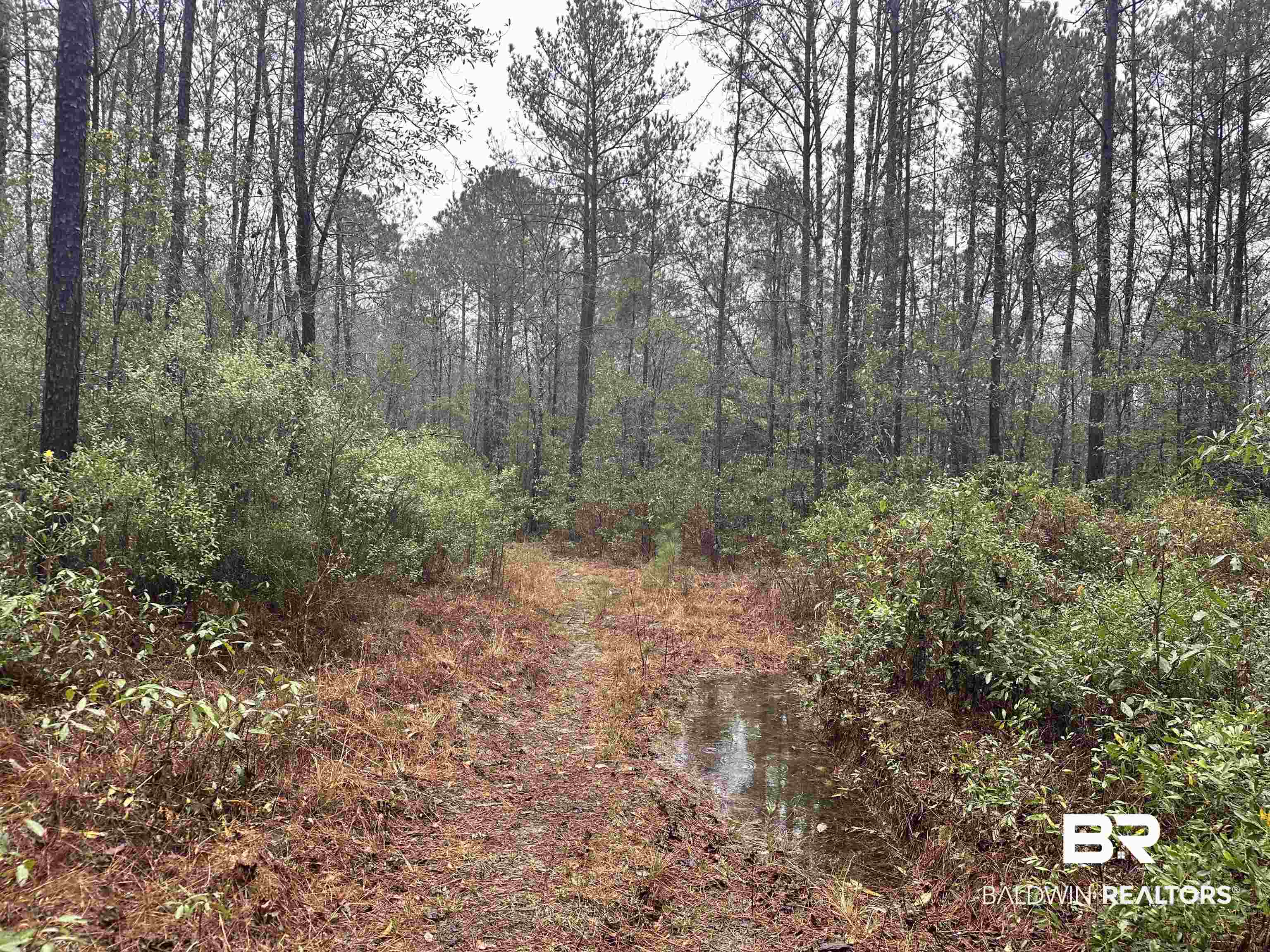 4549 J D Howard Road Tibbie, AL 36583 - Photo 28 of 33