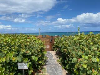 8 Ridge Boulevard Ocean Ridge, FL 33435 - Photo 47 of 51 IMG_1506