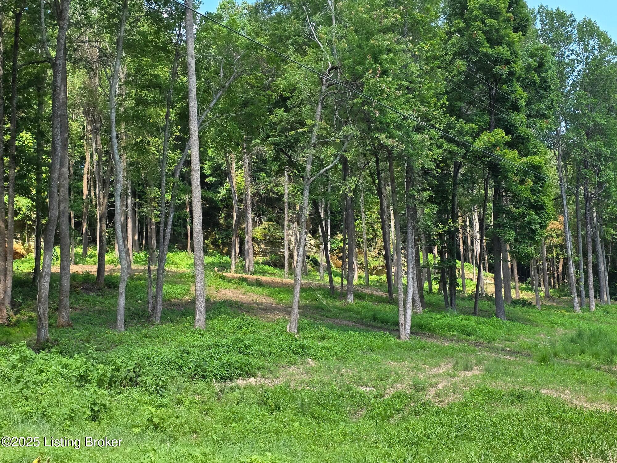 0 Cave Creek Road Falls Of Rough, KY 40119 - Photo 25 of 70 Entire Parcel (22)