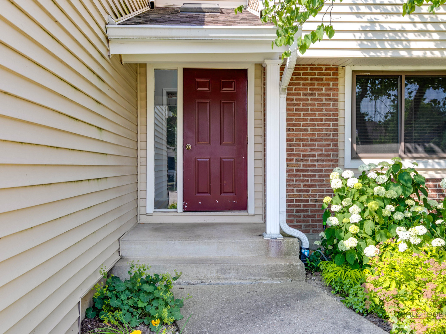 1082 Pine Tree Circle North, Unit 1082 Buffalo Grove, IL 60089 - Photo 3 of 26 a view of entrance of the house
