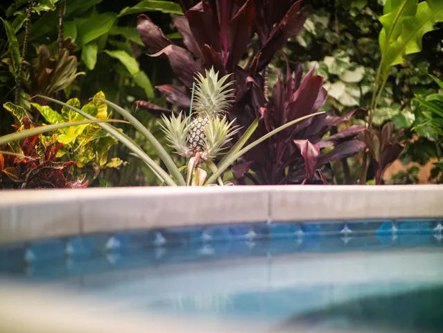 a view of outside area