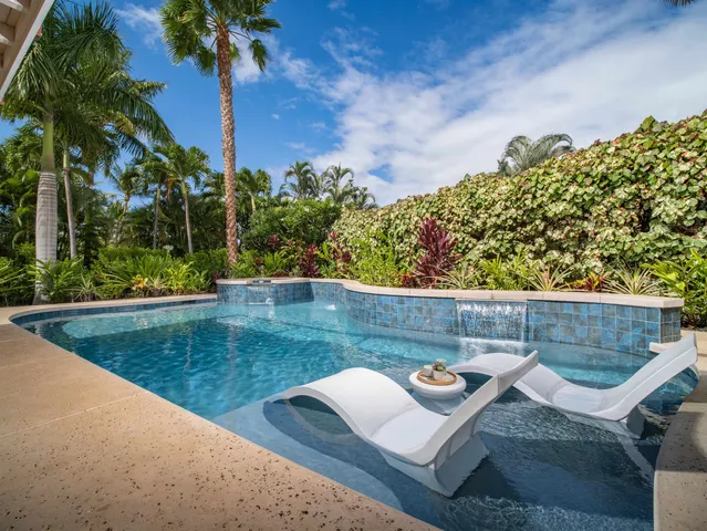 a view of a yard with plants