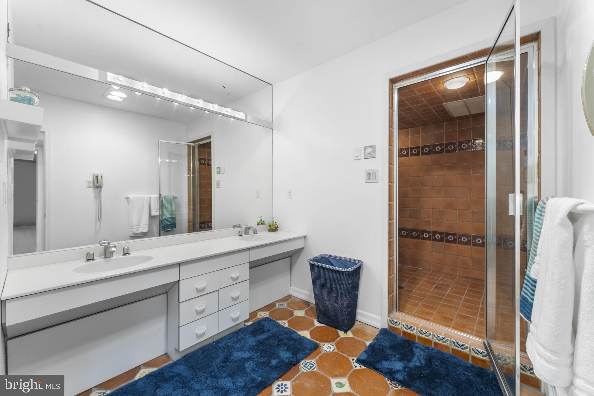 244 Mathers Road Ambler, PA 19002 - Photo 43 of 52 a bathroom with a double vanity sink a mirror and a shower