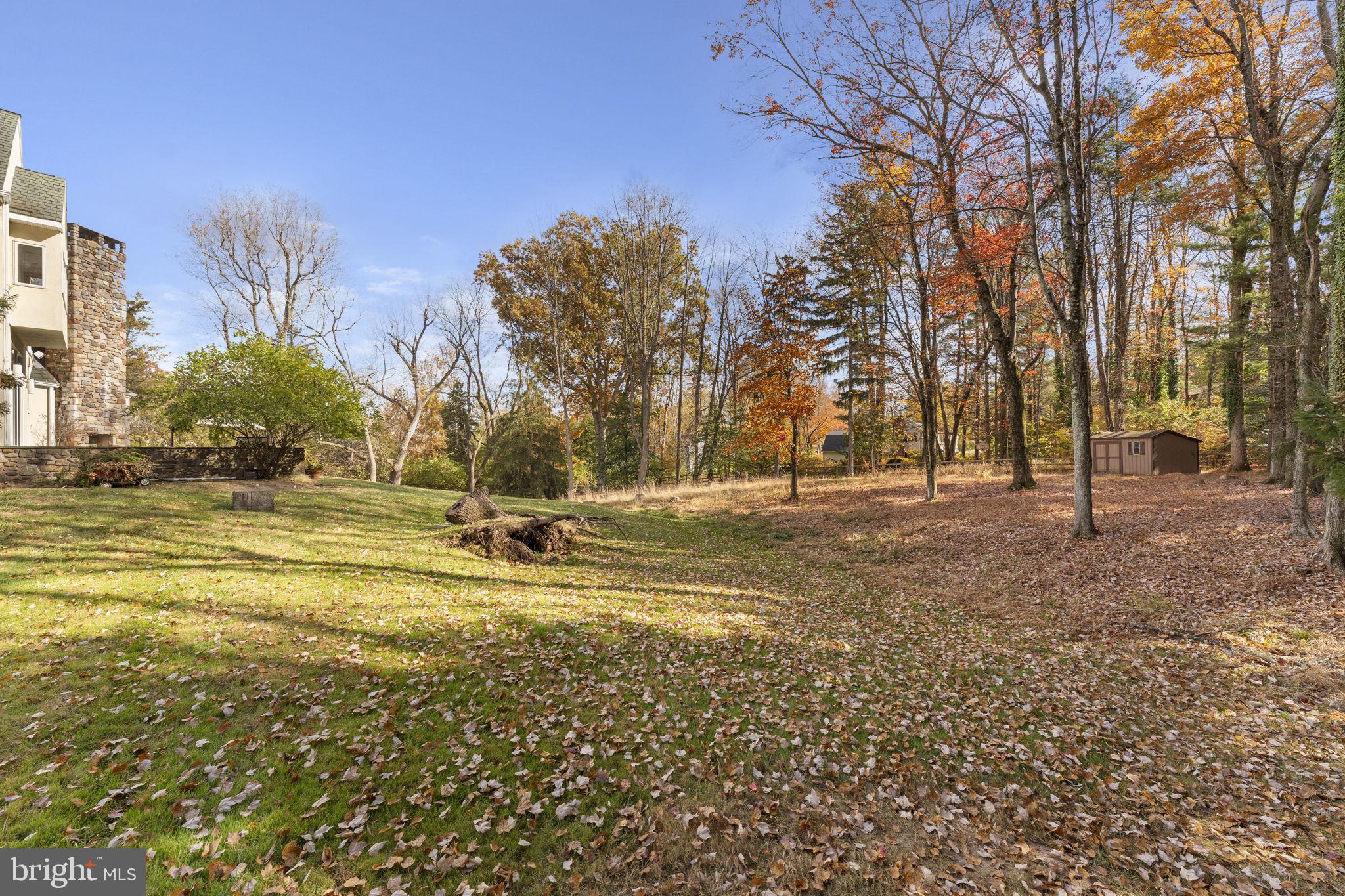 244 Mathers Road Ambler, PA 19002 - Photo 49 of 52 a view of outdoor space with trees