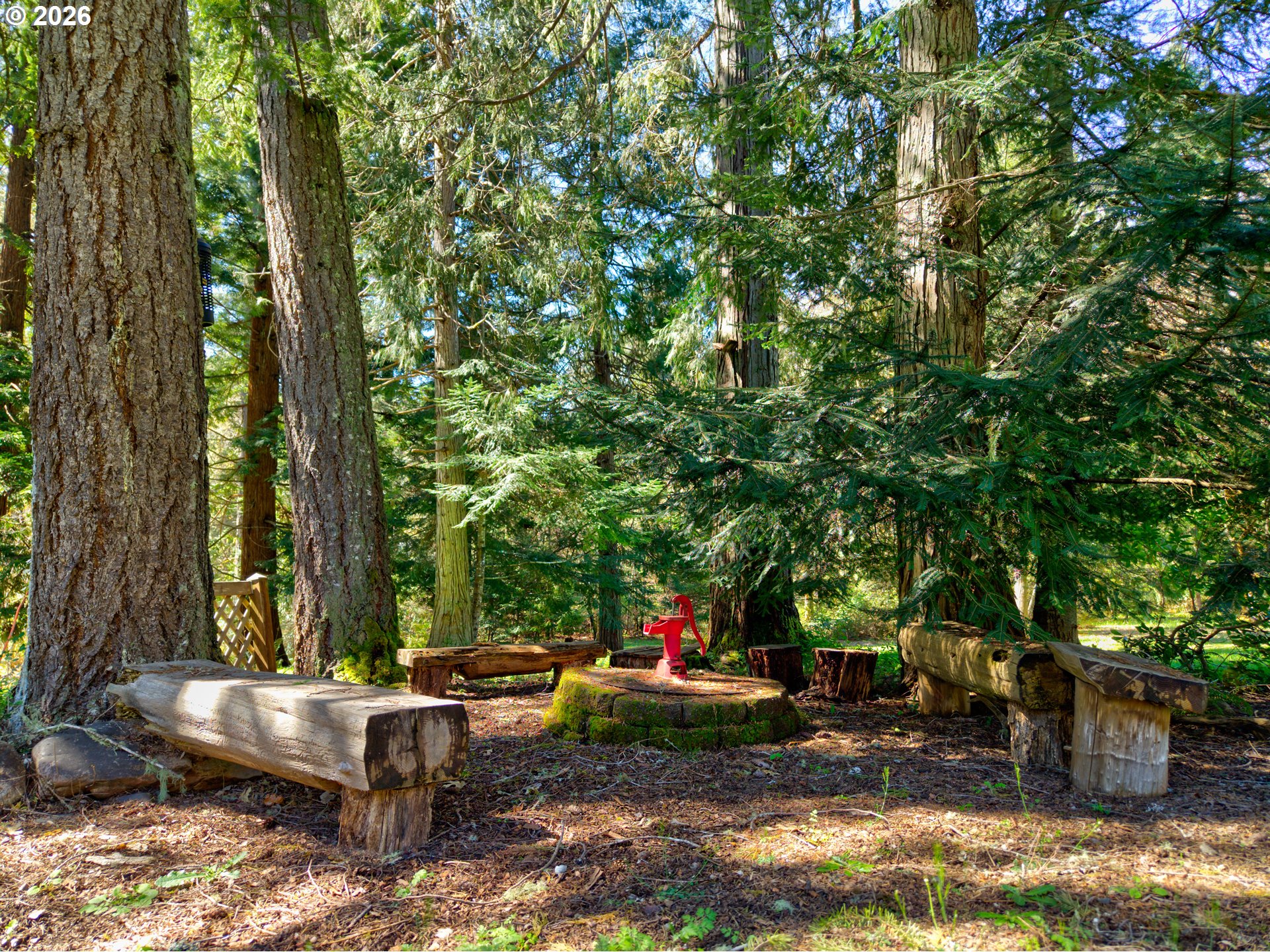 738 Elgarose Road Roseburg, OR 97471 - Photo 47 of 48 a view of a backyard with large trees and plants