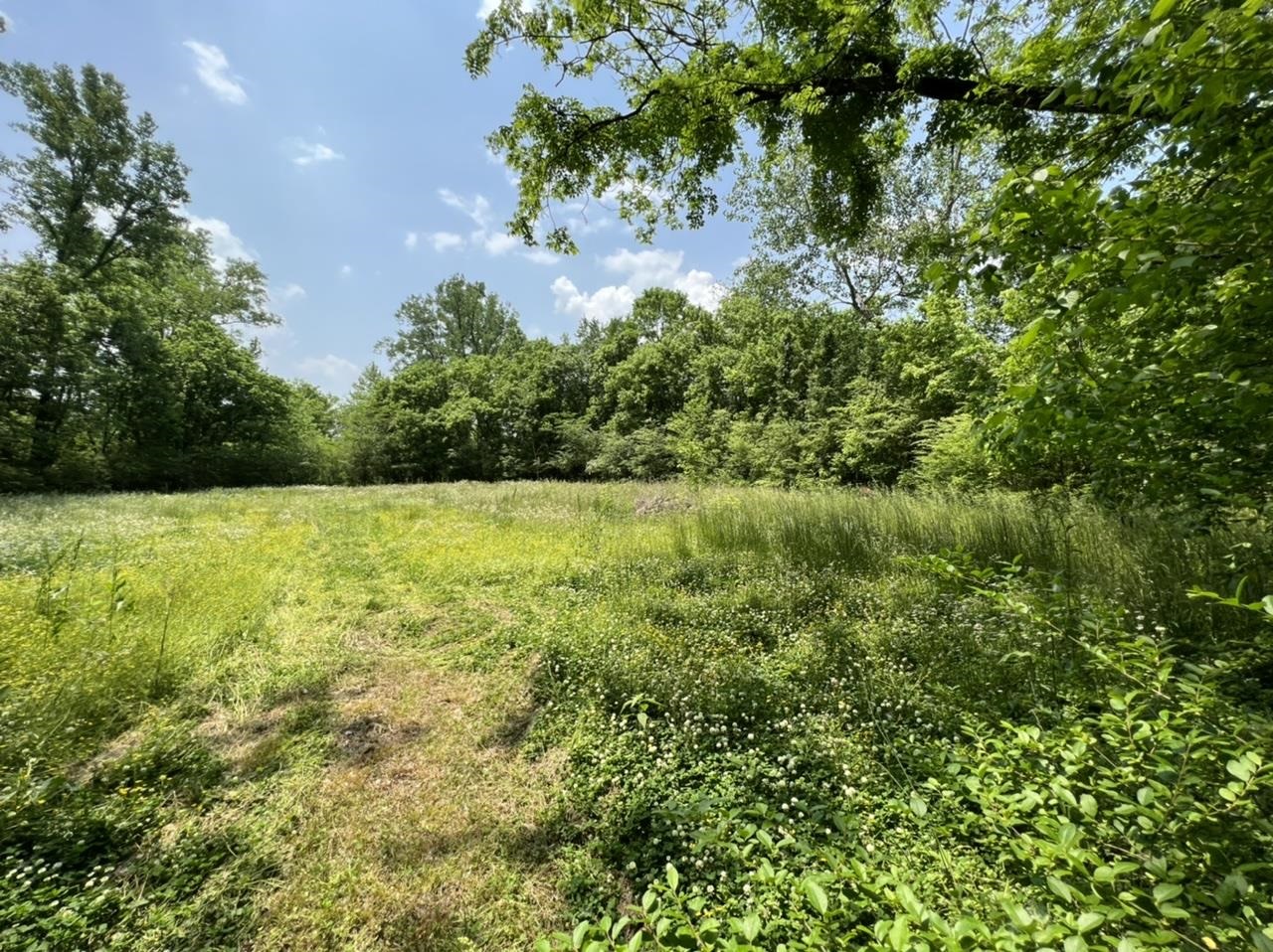 360 Poplar Springs Road Savannah, TN 38372 - Photo 7 of 25 Gallery Image 7