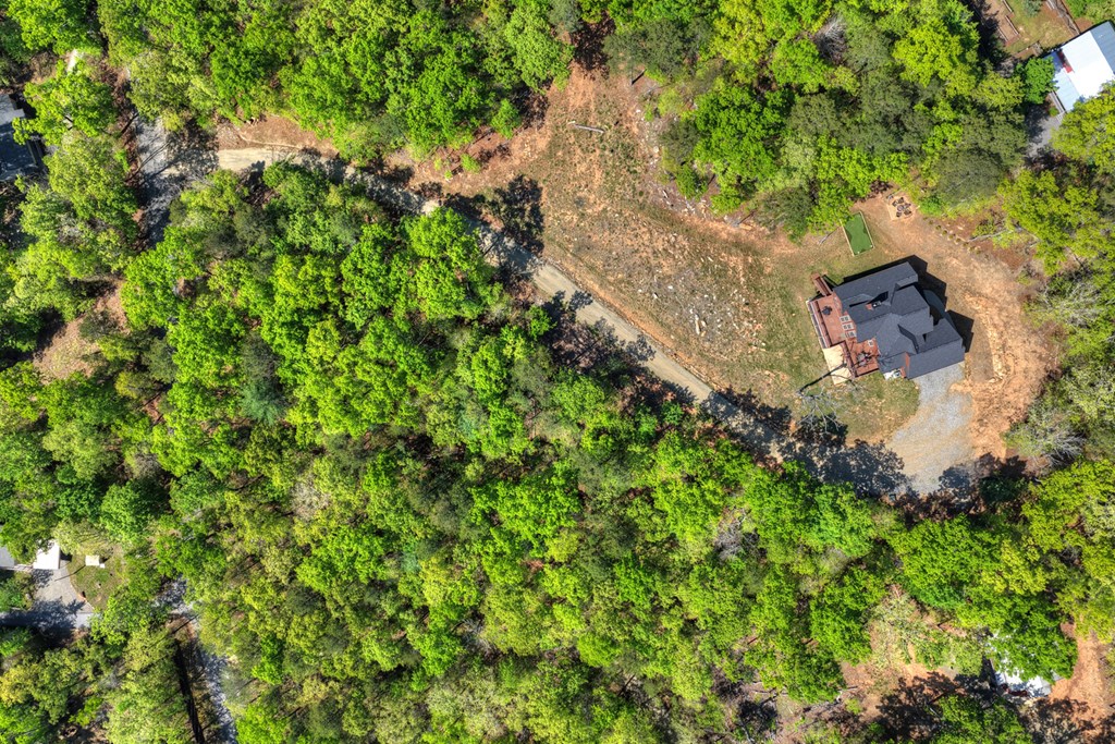 769 Voylestown Road Morganton, GA 30560 - Photo 66 of 67