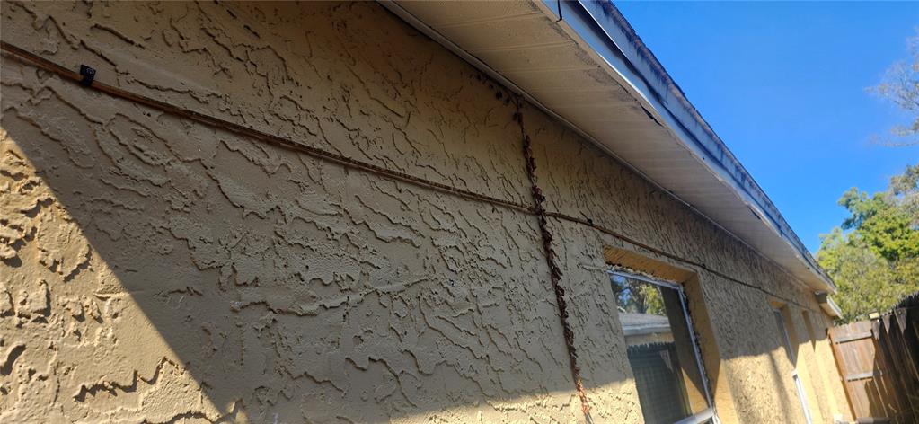 4839 Billy Direct Lane Lutz, FL 33559 - Photo 26 of 51