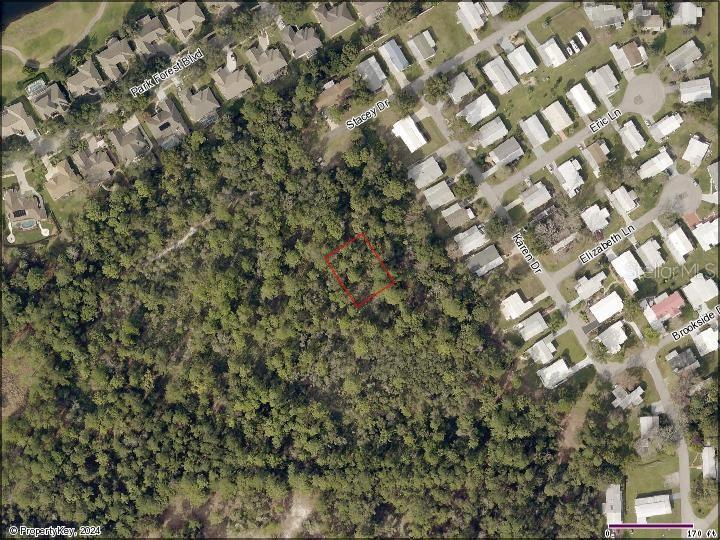 Stacey Dr Mount Mount Dora, FL 32757 - Photo 1 of 1 a view of a yard