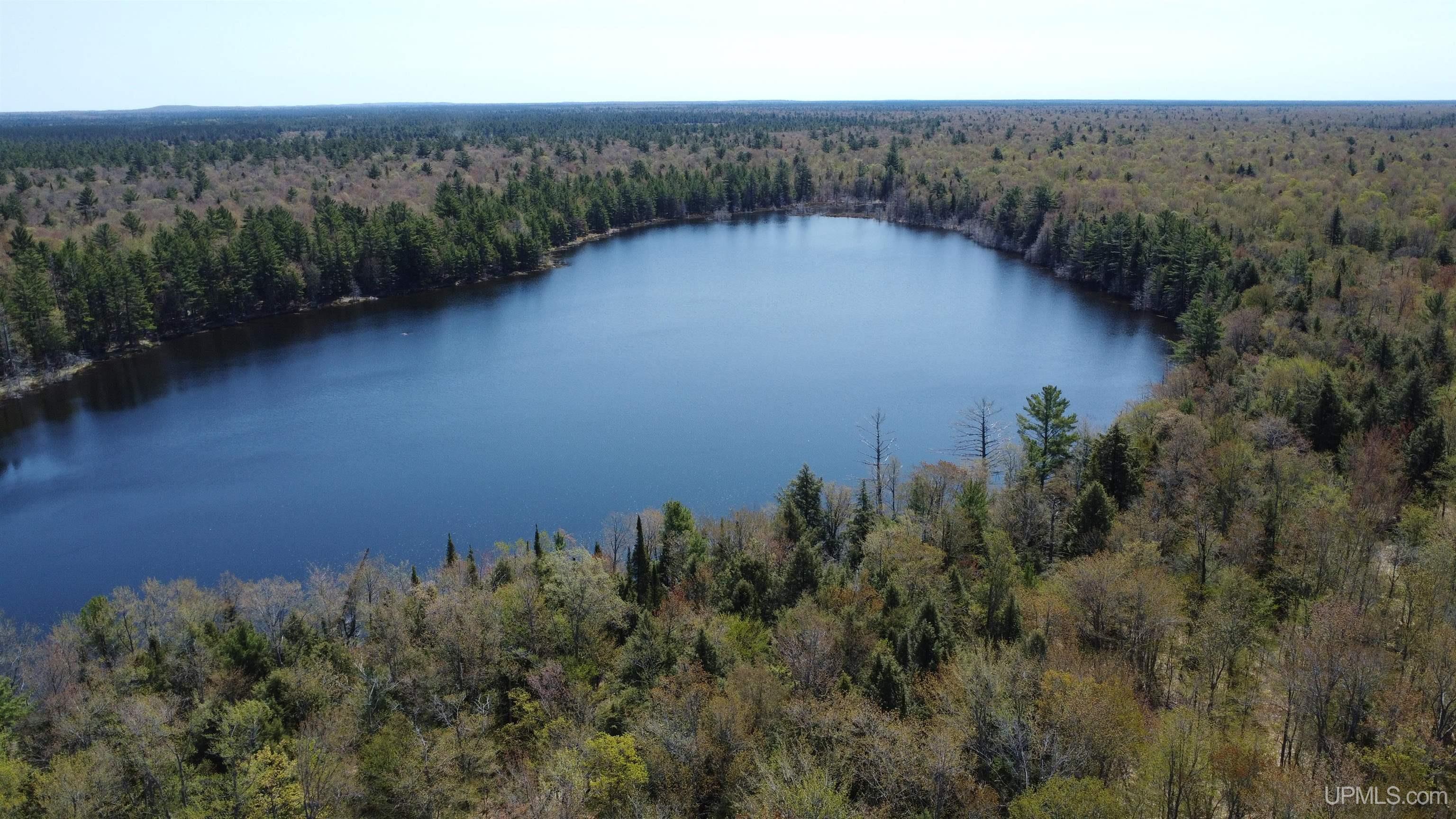 Off Adams Trail Shingleton, MI 49884 - Photo 24 of 46