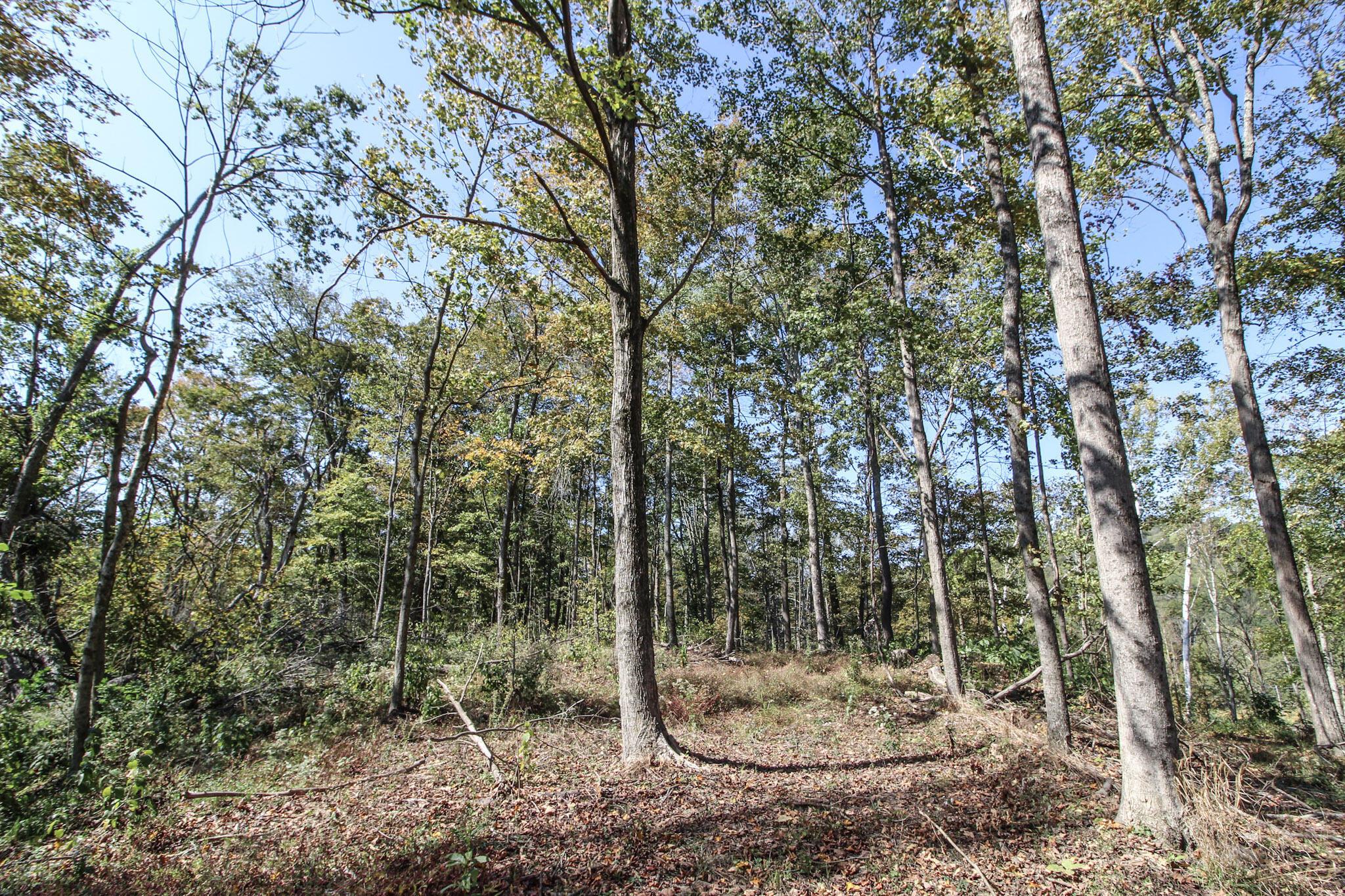 Lot 1 Brooks Road Marietta, OH 45750 - Photo 10 of 23 7-IMG_9085