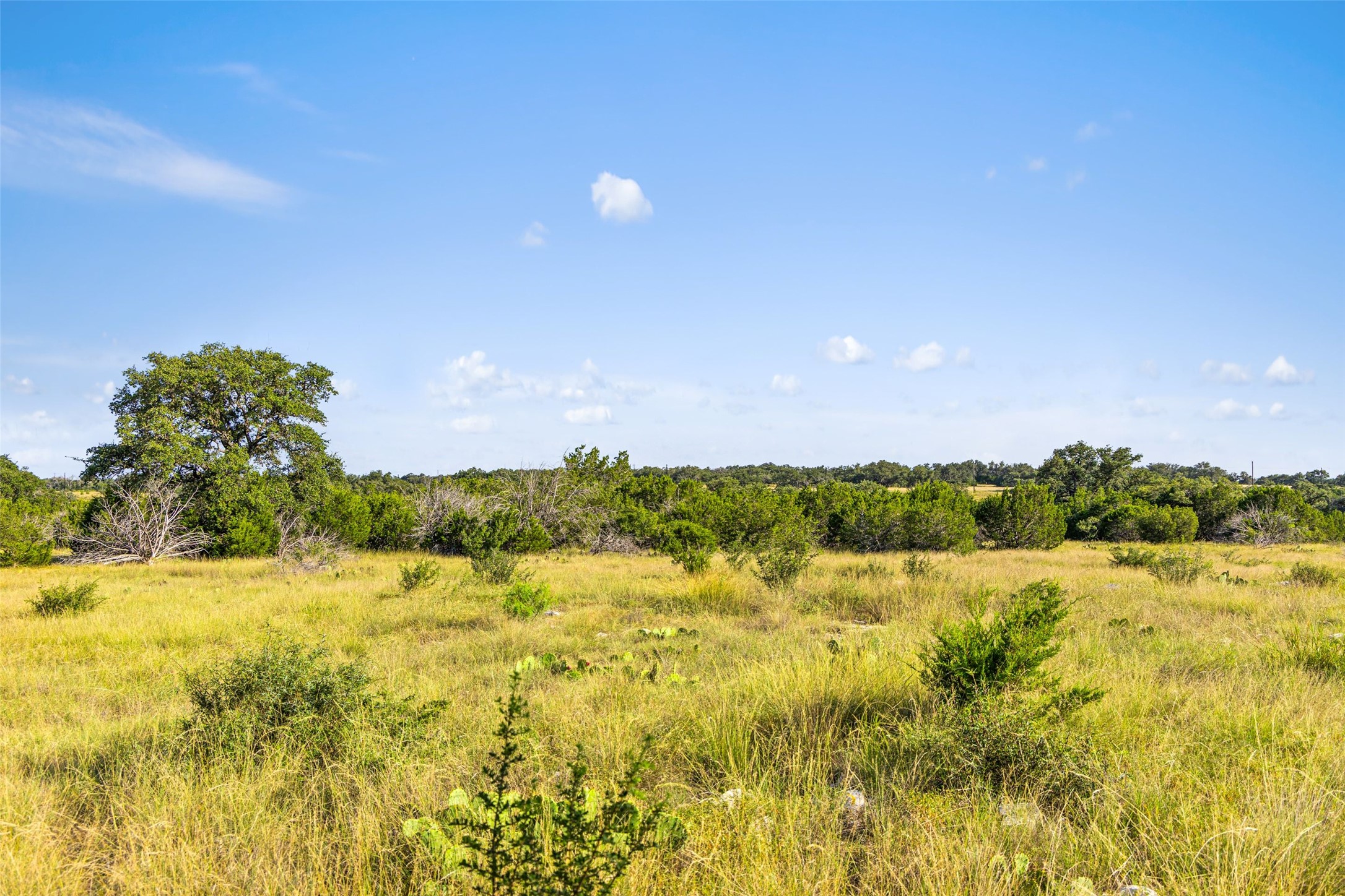 2915 Spring Crossing Junction, TX 76849 - Photo 14 of 31 A spacious, undeveloped lot with natural vegetation offers a tranquil retreat.