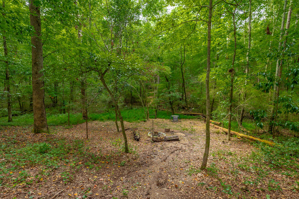 469 Round Pond Road LaFayette, GA 30728 - Photo 97 of 103 Gallery Image 97