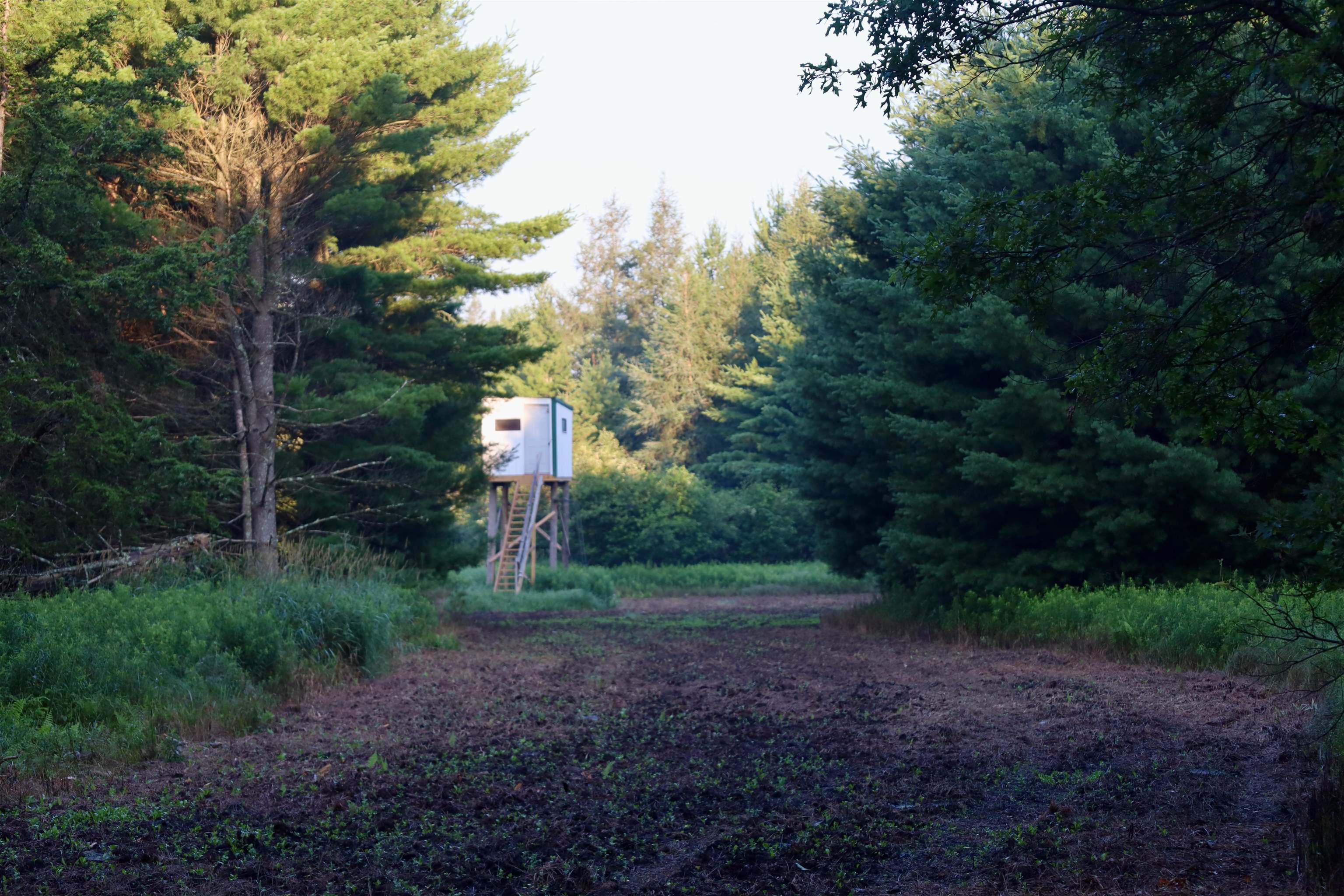 0 17th Montello, WI 53949 - Photo 23 of 30